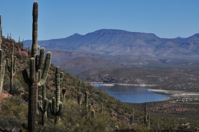 Roosevelt Lake view